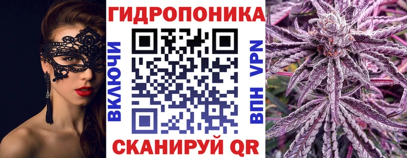 Хочу наркоту Каргополь Галлюциногенные грибы  ГАШИШ  Марихуана 