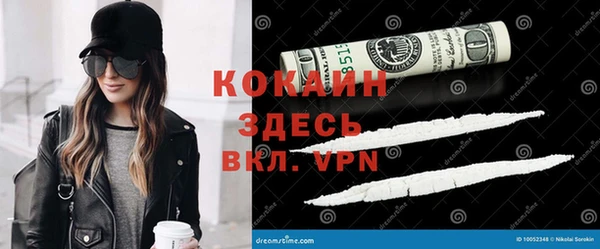 крисы Анжеро-Судженск