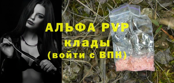 крисы Анжеро-Судженск
